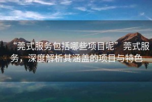 “莞式服務包括哪些項目呢”莞式服務，深度解析其涵蓋的項目與特色
