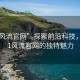 “51風(fēng)流官網(wǎng)”探索前沿科技，揭秘51風(fēng)流官網(wǎng)的獨特魅力