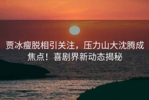 賈冰瘦脫相引關注，壓力山大沈騰成焦點！喜劇界新動態揭秘