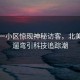 上海一小區驚現神秘訪客，北美赤狐遛彎引科技追蹤潮