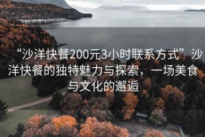 “沙洋快餐200元3小時聯(lián)系方式”沙洋快餐的獨特魅力與探索，一場美食與文化的邂逅