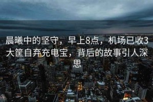 晨曦中的堅守，早上8點，機場已收3大筐自棄充電寶，背后的故事引人深思