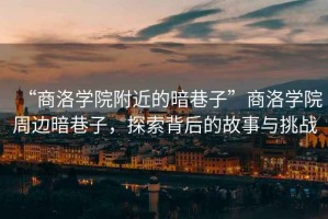 “商洛學院附近的暗巷子”商洛學院周邊暗巷子，探索背后的故事與挑戰
