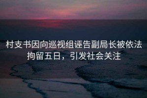 村支書因向巡視組誣告副局長被依法拘留五日，引發社會關注