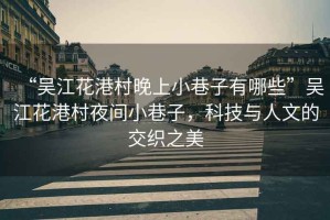 “吳江花港村晚上小巷子有哪些”吳江花港村夜間小巷子，科技與人文的交織之美