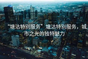 “塘沽特別服務(wù)”塘沽特別服務(wù)，城市之光的獨(dú)特魅力