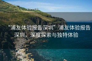 “浦友體驗報告深圳”浦友體驗報告深圳，深度探索與獨特體驗