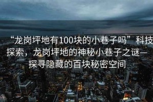 “龍崗坪地有100塊的小巷子嗎”科技探索，龍崗坪地的神秘小巷子之謎—探尋隱藏的百塊秘密空間