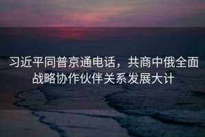 習近平同普京通電話，共商中俄全面戰(zhàn)略協(xié)作伙伴關(guān)系發(fā)展大計
