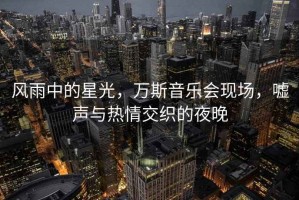 風(fēng)雨中的星光，萬斯音樂會現(xiàn)場，噓聲與熱情交織的夜晚