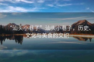 “汕頭小巷子”汕頭小巷子，歷史、文化與美食的交織