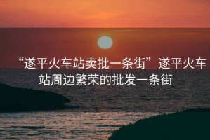 “遂平火車站賣批一條街”遂平火車站周邊繁榮的批發(fā)一條街