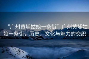 “廣州黃埔姑娘一條街”廣州黃埔姑娘一條街，歷史、文化與魅力的交織