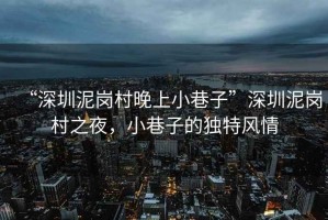 “深圳泥崗村晚上小巷子”深圳泥崗村之夜，小巷子的獨(dú)特風(fēng)情
