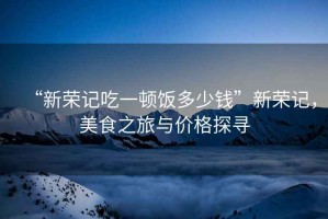 “新榮記吃一頓飯多少錢”新榮記，美食之旅與價格探尋