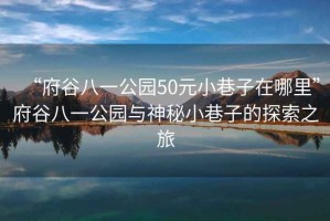 “府谷八一公園50元小巷子在哪里”府谷八一公園與神秘小巷子的探索之旅
