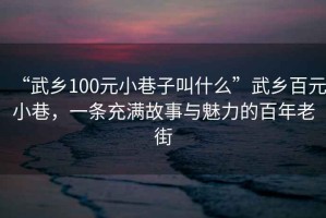 “武鄉100元小巷子叫什么”武鄉百元小巷，一條充滿故事與魅力的百年老街