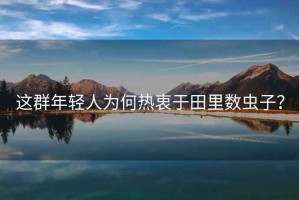 這群年輕人為何熱衷于田里數(shù)蟲子？