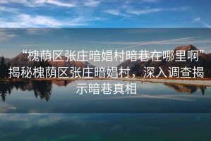 “槐蔭區張莊暗娼村暗巷在哪里啊”揭秘槐蔭區張莊暗娼村，深入調查揭示暗巷真相