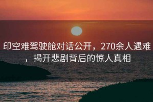 印空難駕駛艙對話公開，270余人遇難，揭開悲劇背后的驚人真相