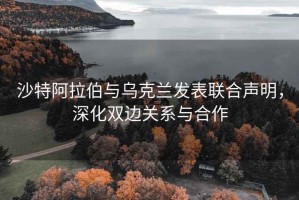 沙特阿拉伯與烏克蘭發表聯合聲明，深化雙邊關系與合作