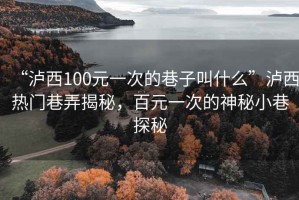 “瀘西100元一次的巷子叫什么”瀘西熱門巷弄揭秘，百元一次的神秘小巷探秘
