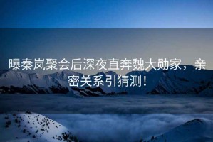 曝秦嵐聚會(huì)后深夜直奔魏大勛家，親密關(guān)系引猜測(cè)！