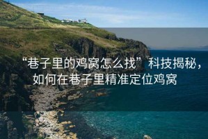 “巷子里的雞窩怎么找”科技揭秘，如何在巷子里精準定位雞窩