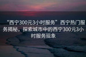 “西寧300元3小時服務”西寧熱門服務揭秘，探索城市中的西寧300元3小時服務現象