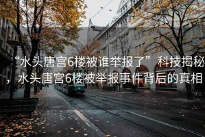 “水頭唐宮6樓被誰舉報了”科技揭秘，水頭唐宮6樓被舉報事件背后的真相