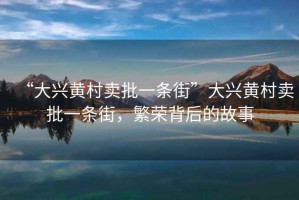 “大興黃村賣批一條街”大興黃村賣批一條街，繁榮背后的故事