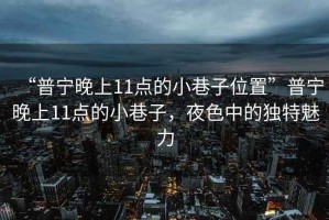 “普寧晚上11點的小巷子位置”普寧晚上11點的小巷子，夜色中的獨特魅力