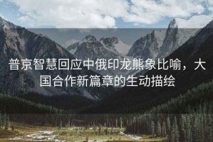 普京智慧回應中俄印龍熊象比喻，大國合作新篇章的生動描繪