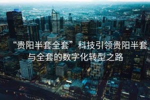 “貴陽半套全套”科技引領貴陽半套與全套的數字化轉型之路