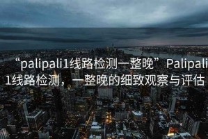 “palipali1線路檢測一整晚”Palipali1線路檢測，一整晚的細致觀察與評估