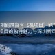 “深圳鶴祥宮有飛機項目”鶴祥宮飛機項目的獨特魅力與深圳新風貌