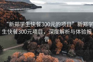 “新鄭學(xué)生快餐300元的項(xiàng)目”新鄭學(xué)生快餐300元項(xiàng)目，深度解析與體驗(yàn)報(bào)告
