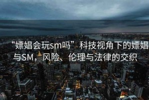 “嫖娼會玩sm嗎”科技視角下的嫖娼與SM，風險、倫理與法律的交織