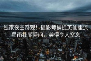 獨家夜空奇觀！攝影師捕捉英仙座流星雨壯麗瞬間，美得令人窒息