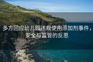 多方回應(yīng)幼兒園違規(guī)使用添加劑事件，安全與監(jiān)管的反思