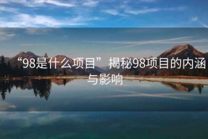 “98是什么項目”揭秘98項目的內涵與影響