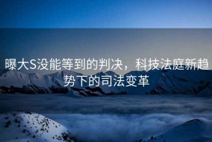 曝大S沒能等到的判決，科技法庭新趨勢下的司法變革
