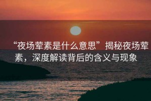 “夜場(chǎng)葷素是什么意思”揭秘夜場(chǎng)葷素，深度解讀背后的含義與現(xiàn)象