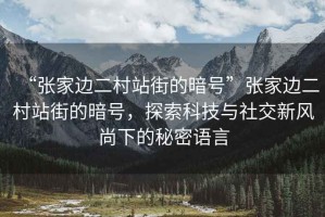 “張家邊二村站街的暗號”張家邊二村站街的暗號，探索科技與社交新風尚下的秘密語言