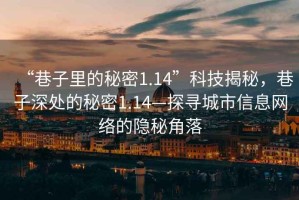 “巷子里的秘密1.14”科技揭秘，巷子深處的秘密1.14—探尋城市信息網絡的隱秘角落