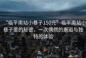 “臨平南站小巷子150元”臨平南站小巷子里的秘密，一次偶然的邂逅與獨特的體驗