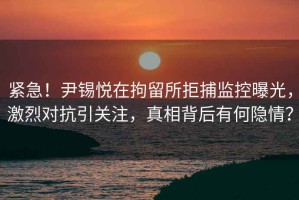 緊急！尹錫悅在拘留所拒捕監控曝光，激烈對抗引關注，真相背后有何隱情？