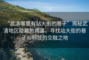 “武清哪里有站大街的巷子”揭秘武清地區隱藏的角落，尋找站大街的巷子與科技的交融之地