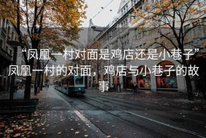 “鳳凰一村對面是雞店還是小巷子”鳳凰一村的對面，雞店與小巷子的故事