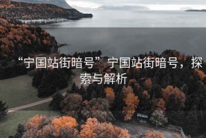 “寧國站街暗號”寧國站街暗號，探索與解析